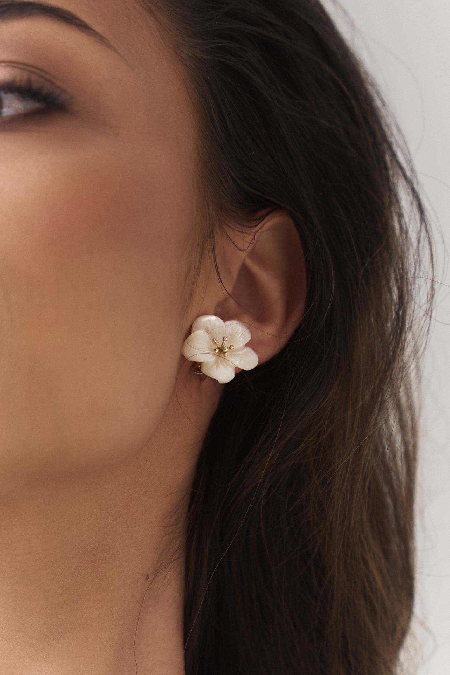Pendientes PALOMA